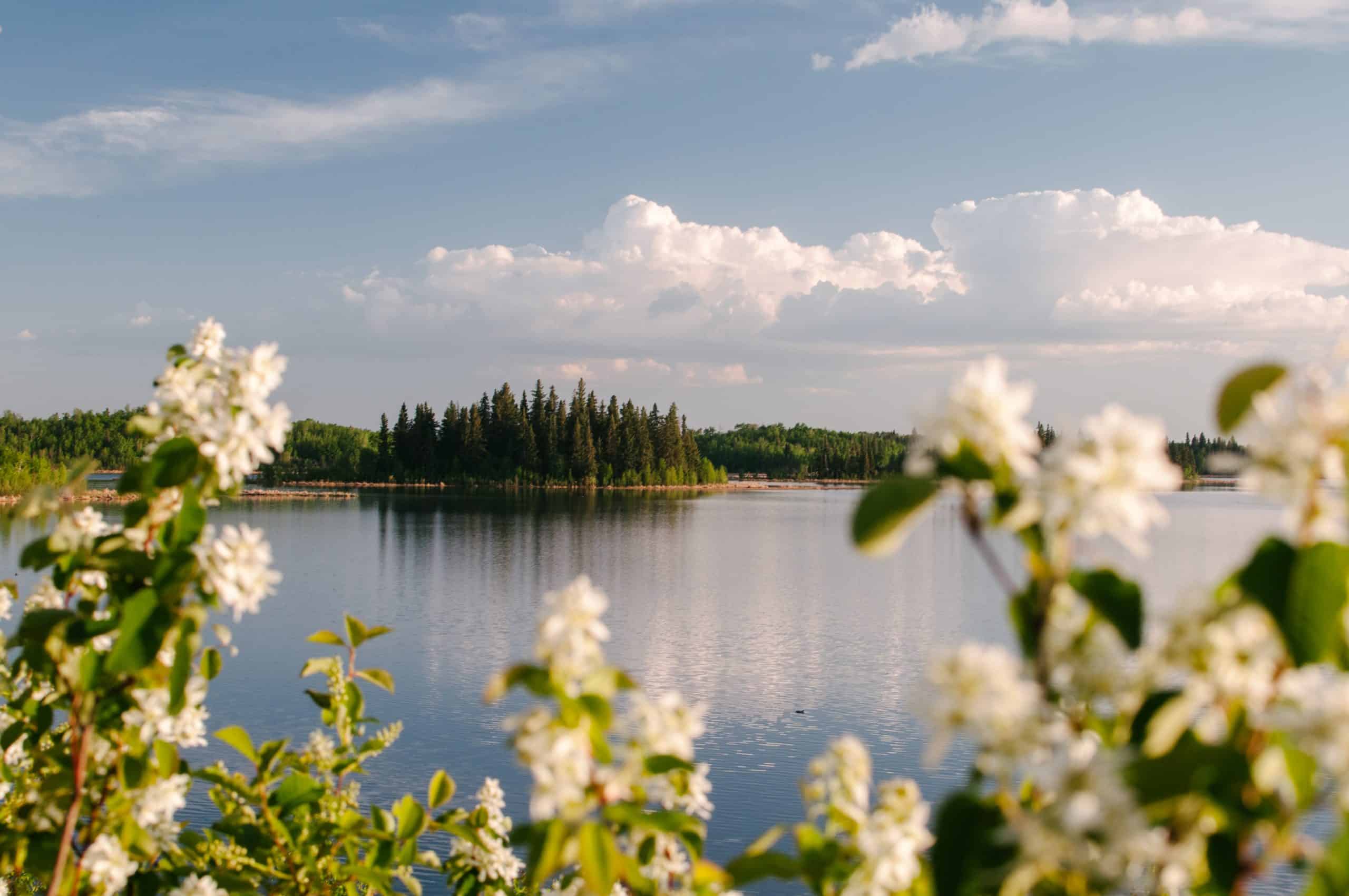 alberta